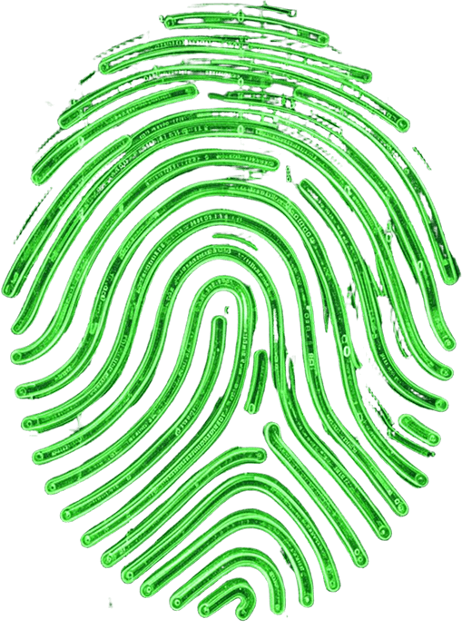 Finger Print Image